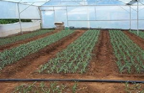 PN 6 bar (EN 12201) — view 2